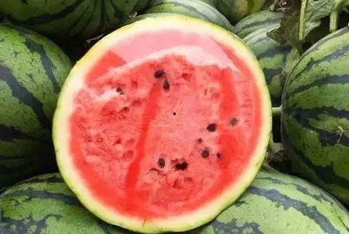 吃瓜还叫什么,揭秘“吃瓜群众”背后的文化现象